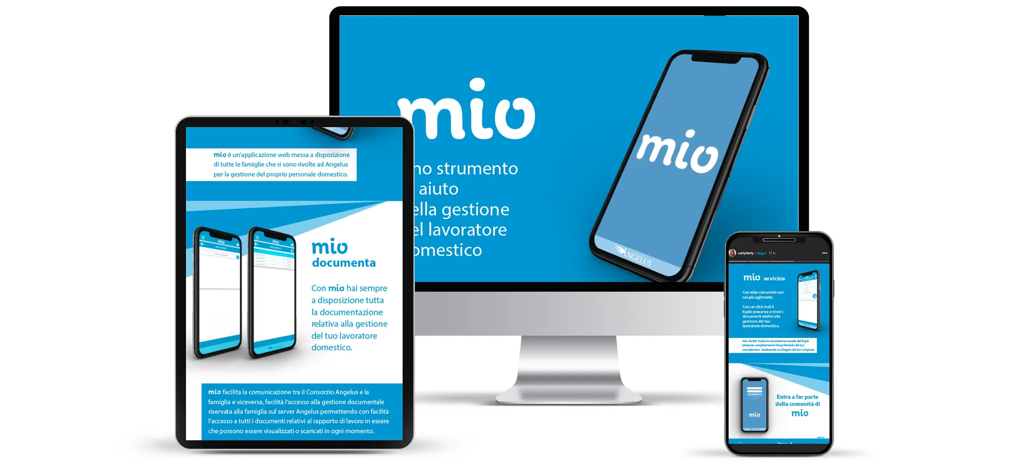 applicazione web mio